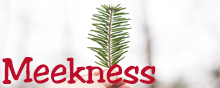 Meekness